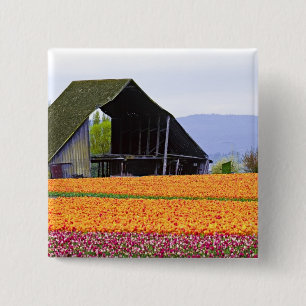 Chapa Cuadrada Norteamérica, EE. UU., Washington, Valle de Skagit