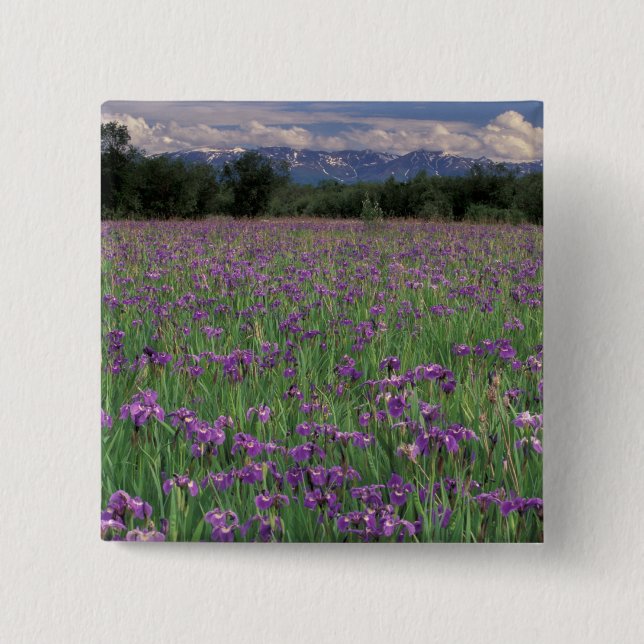 Chapa Cuadrada Norteamérica, Estados Unidos, Alaska, Anchorage, E (Anverso)