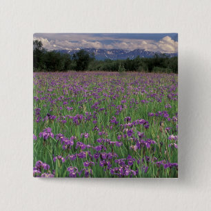 Chapa Cuadrada Norteamérica, Estados Unidos, Alaska, Anchorage, E