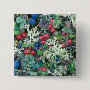 Chapa Cuadrada Norteamérica, Estados Unidos, Alaska, Paisaje, bay