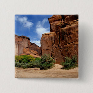 Chapa Cuadrada Norteamérica, Estados Unidos, Arizona, Indio Nava