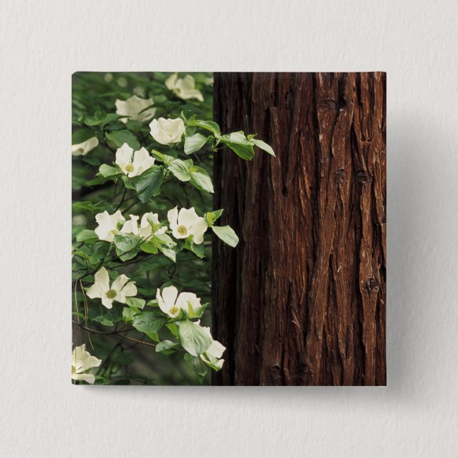 Chapa Cuadrada Norteamérica, Estados Unidos, California, Yosemite (Anverso)