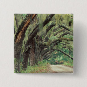 Chapa Cuadrada Norteamérica, Estados Unidos, Georgia, Cumberland