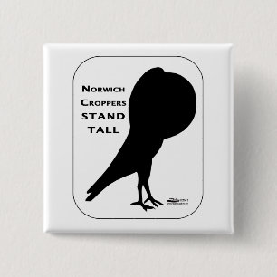 Chapa Cuadrada Norwich Croppers Stand Tall