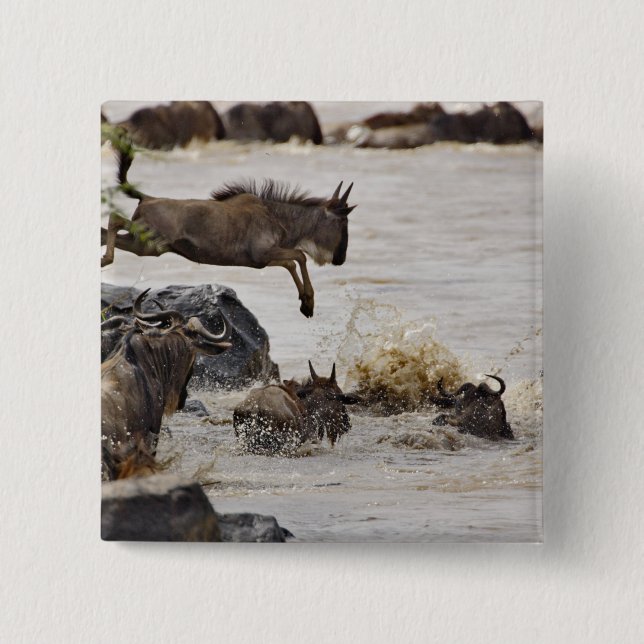 Chapa Cuadrada Ñu saltando al río Mara (Anverso)