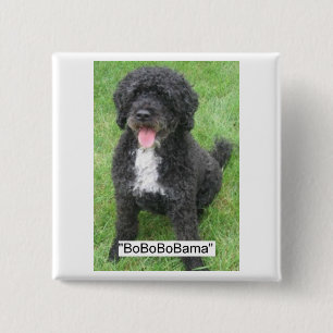 Chapa Cuadrada Obama Pet Portuguese Water dog