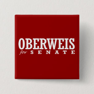CHAPA CUADRADA OBERWEIS PARA EL SENADO 2014