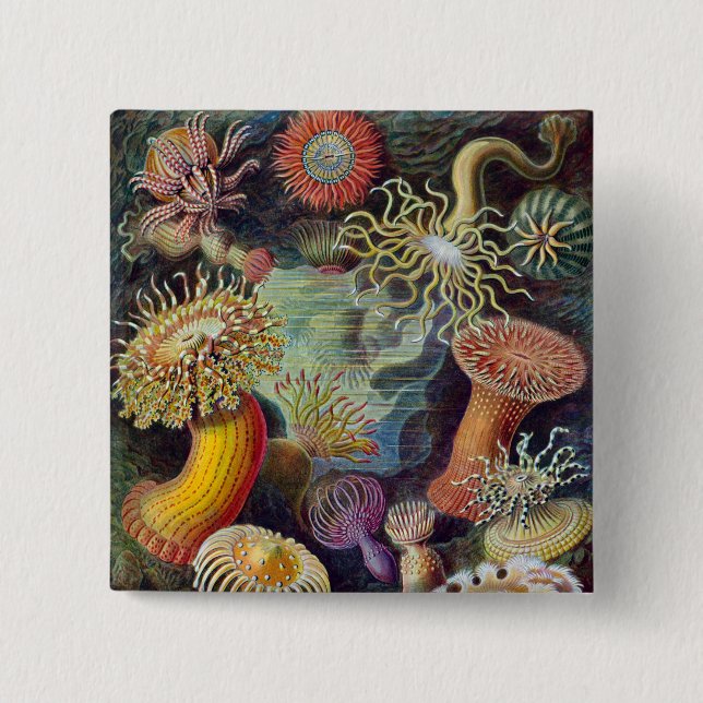 Chapa Cuadrada Océano marino Anemone Científico (Anverso)
