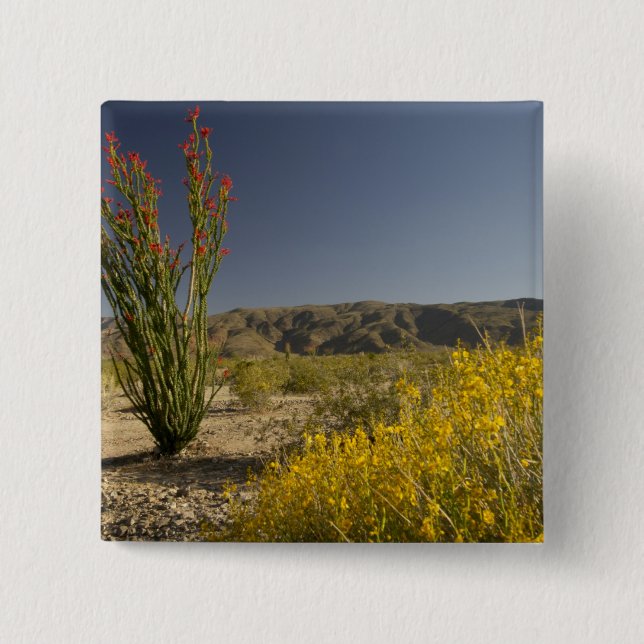 Chapa Cuadrada Ocotillo y senna desierta (Anverso)