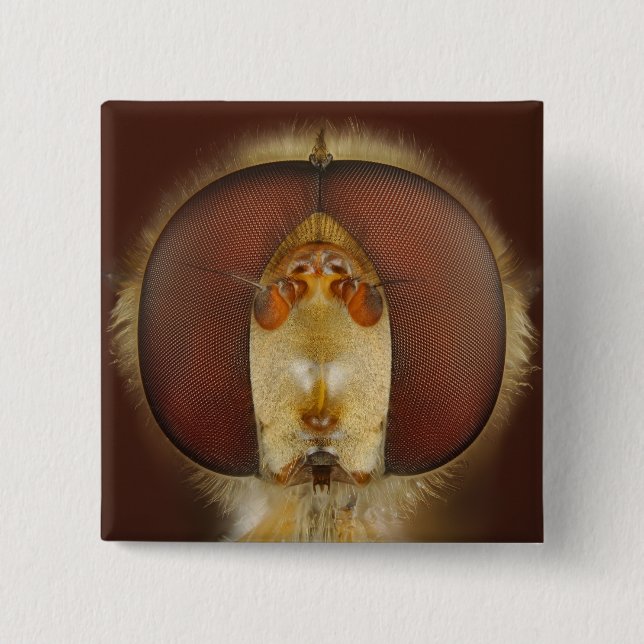 Chapa Cuadrada Ojos principales y compuestos de una mosca de la (Anverso)