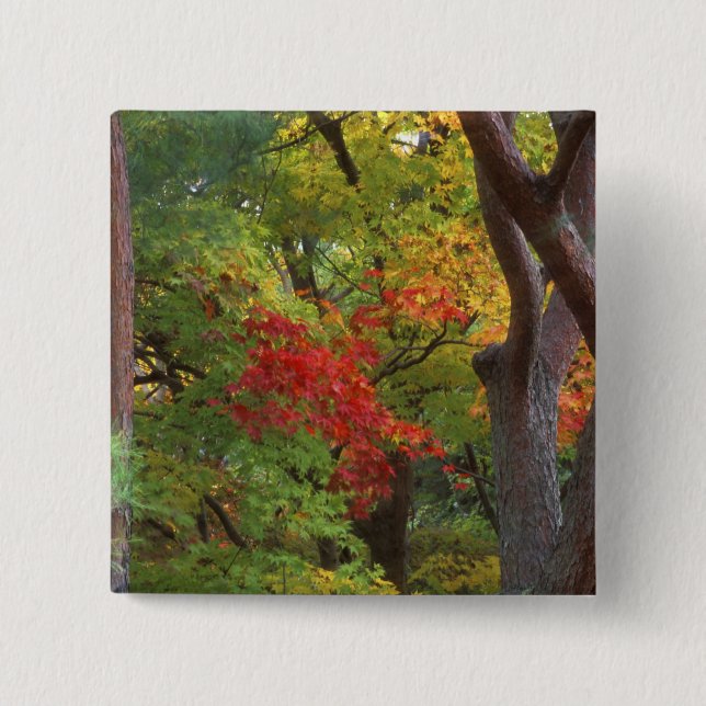 Chapa Cuadrada Okochi Sanso, Arashiyama, Kyoto, Japón 5 (Anverso)