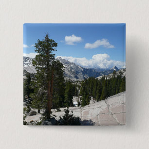 Chapa Cuadrada Olmsted Point III en el Parque Nacional Yosemite