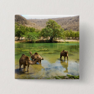 Chapa Cuadrada Omán, Wadi darbat