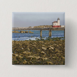 Chapa Cuadrada OR, Costa de Oregón, Bandon, Río Coquille