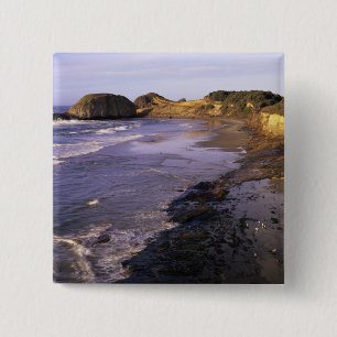 Chapa Cuadrada OR, Costa de Oregón, Newport, litoral en Seal