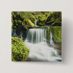 Chapa Cuadrada Oregón, Cascada en el bosque nacional Willamette