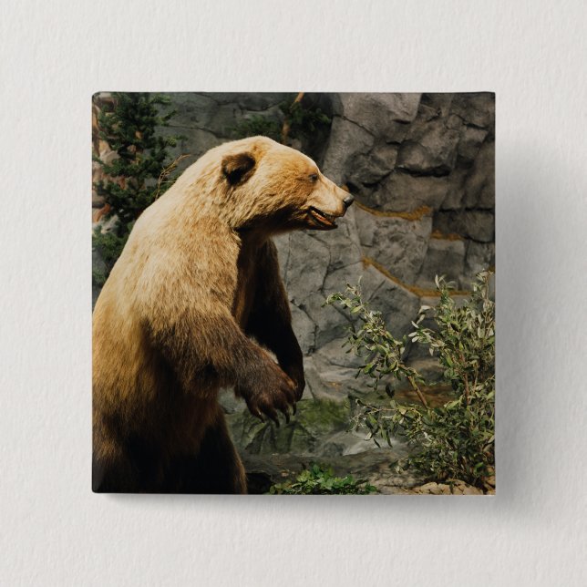 Chapa Cuadrada Orgullo (Anverso)