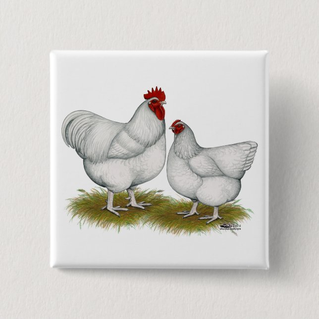 Chapa Cuadrada Orpington: Par blanco (Anverso)