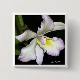 Chapa Cuadrada Orquídea blanca clásica