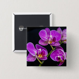 Chapa Cuadrada Orquídea púrpura