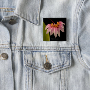 Chapa Cuadrada Orquídea rosada tropical