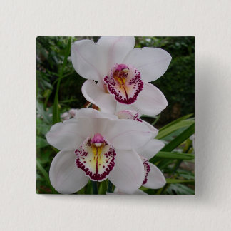 Chapa Cuadrada Orquídeas Blancas Hermosas Flores Tropicales