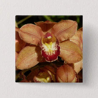 Chapa Cuadrada Orquídeas con gotas de lluvia floral