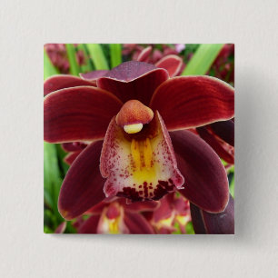 Chapa Cuadrada Orquídeas Maroon I Hermosa Floral Roja