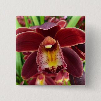 Chapa Cuadrada Orquídeas Maroon I Hermosa Floral Roja