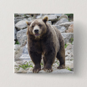 Chapa Cuadrada Oso de Kodiak