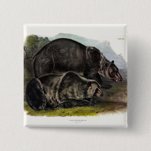 Chapa Cuadrada Oso Grizzly (Oso Marrón Norteamericano) - Audubon