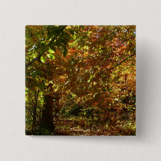 Chapa Cuadrada Otoño de otoño II Fotografía de otoño amarilla