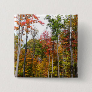 Chapa Cuadrada Otoño en el bosque Fotografía colorida de otoño