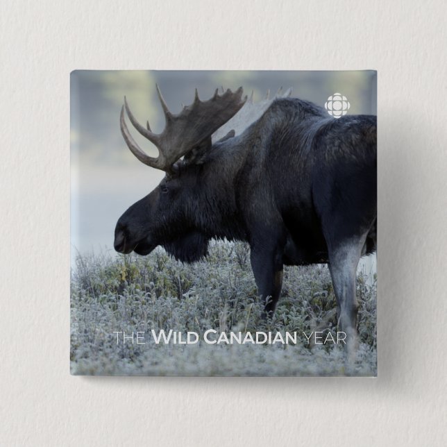 Chapa Cuadrada Otoño - Moose (Anverso)