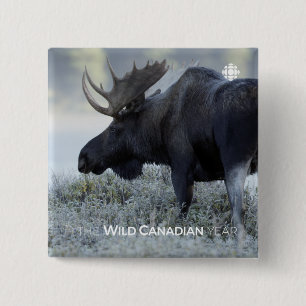 Chapa Cuadrada Otoño - Moose