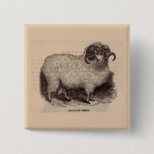 Chapa Cuadrada Ovejas de la región montañosa del siglo XIX