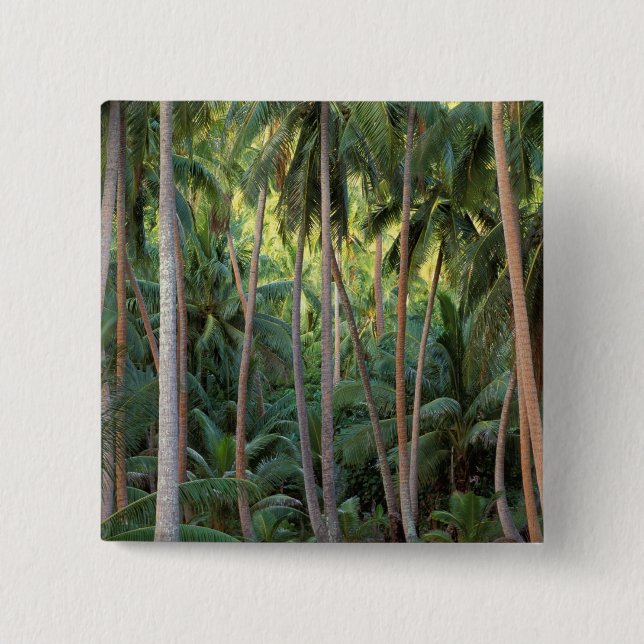 Chapa Cuadrada Pacífico Sur, Polinesia Francesa, Bora Bora. (Anverso)