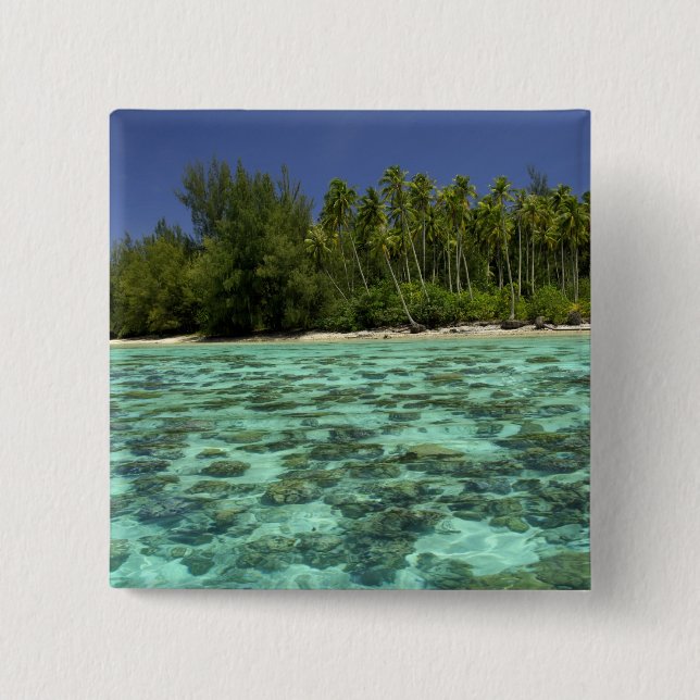 Chapa Cuadrada Pacífico Sur, Polinesia Francesa, Marruecos 3 (Anverso)