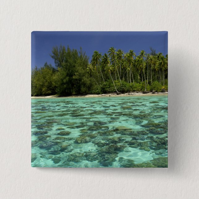 Chapa Cuadrada Pacífico Sur, Polinesia Francesa, Moorea 3 (Anverso)