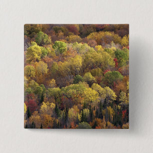 Chapa Cuadrada paisaje de otoño, Vermont, EE. UU. 2
