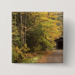 Chapa Cuadrada paisaje de otoño, Vermont, EE. UU. 4