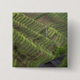 Chapa Cuadrada Paisaje de terrazas de arroz en la montaña,