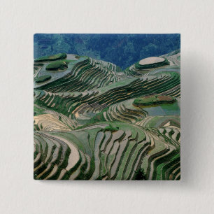 Chapa Cuadrada Paisaje de terrazas de arroz en la montaña,
