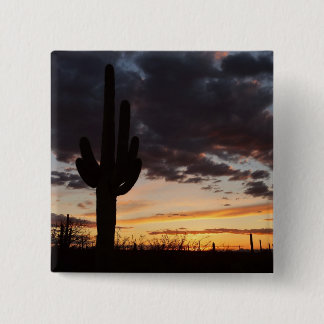 Chapa Cuadrada Paisaje del desierto Saguaro Sunset III Arizona