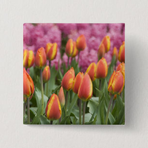 Chapa Cuadrada Países Bajos (alias Holanda), Lisse. Keukenhof