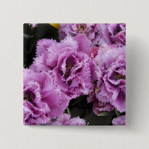 Chapa Cuadrada Países Bajos (alias Holanda), Lisse. Keukenhof 2