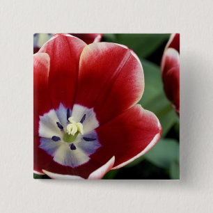 Chapa Cuadrada Países Bajos (alias Holanda), Lisse. Keukenhof 3