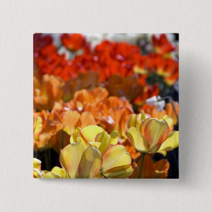 Chapa Cuadrada Países Bajos (Holanda), Lisse. Keukenhof