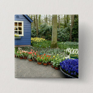 Chapa Cuadrada Países Bajos (Holanda), Lisse. Keukenhof 11