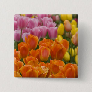 Chapa Cuadrada Países Bajos (Holanda), Lisse. Keukenhof 4